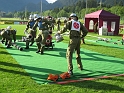 bild (29)